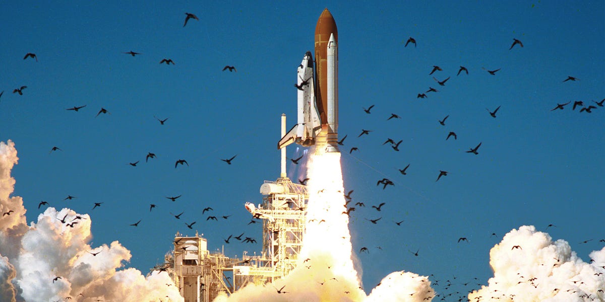 奥特岩加入老虎家族，因为阿里克斯·卡兰（Alix Karlan）计划3亿美元发布