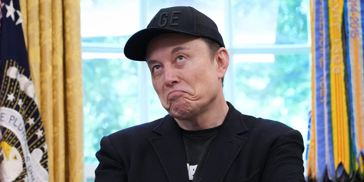 埃隆·马斯克（Elon Musk