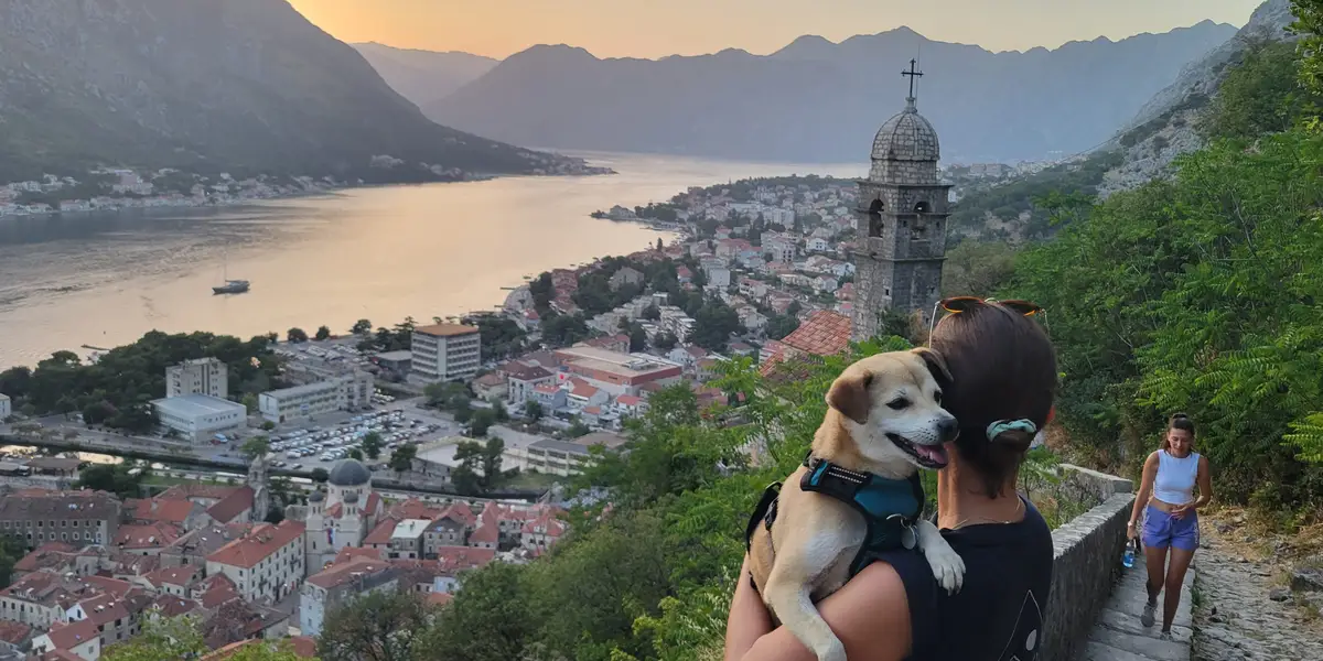 我离开美国，生活在世界各地。逆向文化冲击很难。