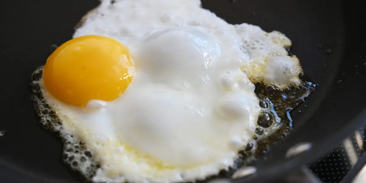 BCG 顾问悲观的人类可以克服“人工智能大脑煎炸”