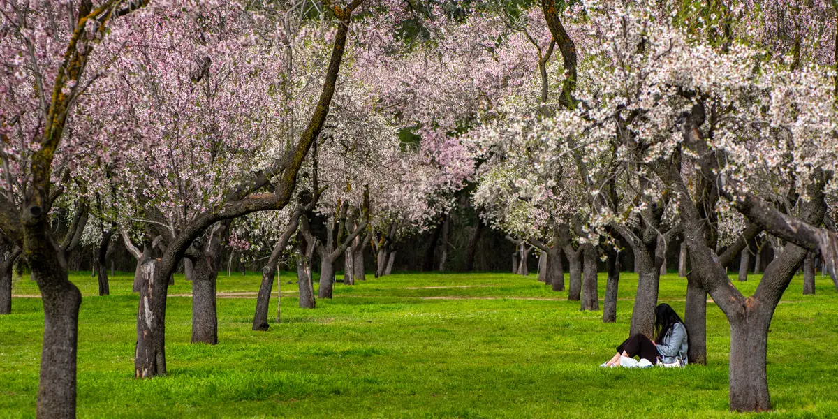 精明理财的投资者推荐的顶级理财书籍