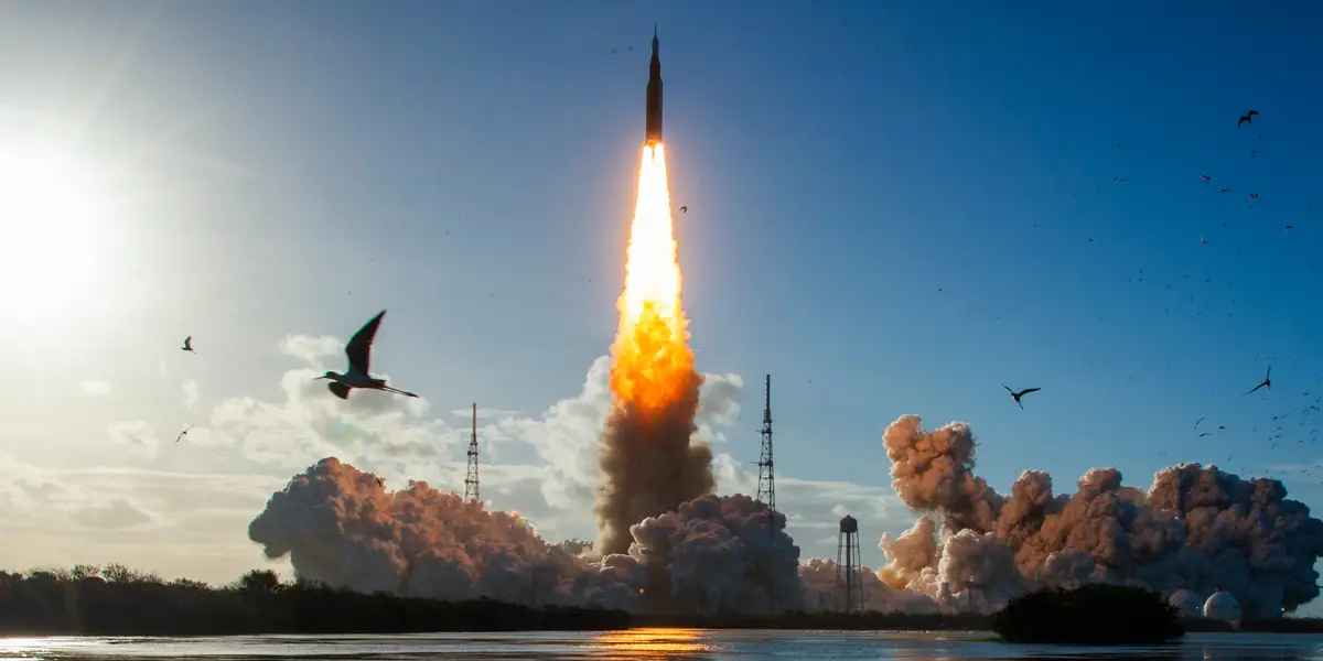 Freestone Grove 资产突飞猛进，突破 60 亿美元