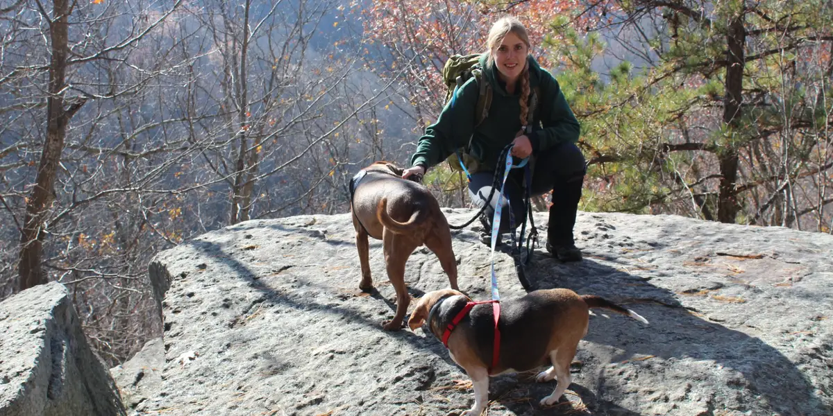 脱离电网后我如何建立社区；需要时间