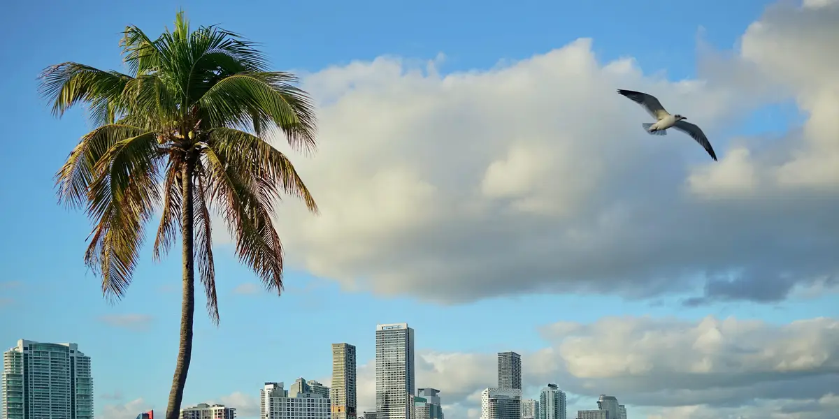 迈阿密的投资组合经理都去哪儿了？