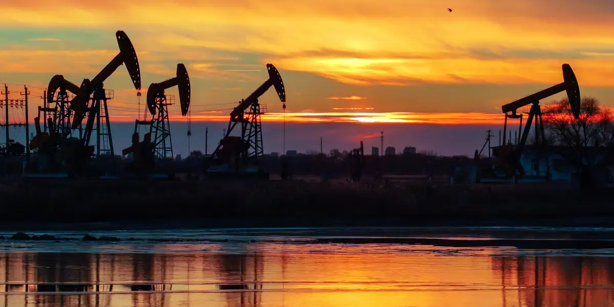 顶级经济学家表示投资者应从科技转向大宗商品