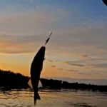 Walleye 在内部增加产品经理并在外部投入资金